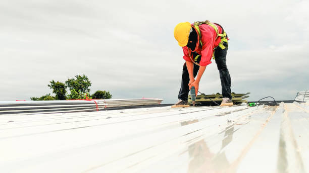  Hopkins, MN Roof Repair & Installaion Pros